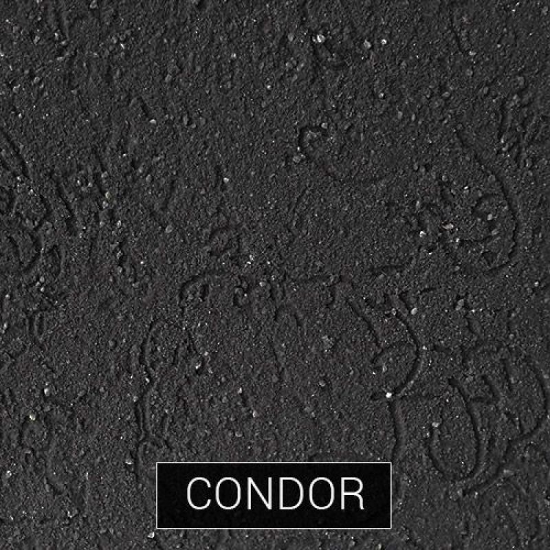 Traquini Raya 2 Condor